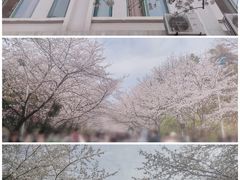 -鸡鸣寺
