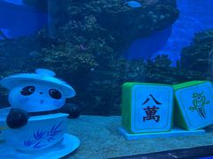 -海合安成都极地海洋公园