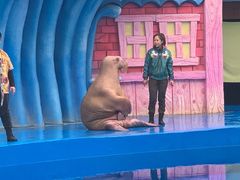 -华夏文旅海洋公园