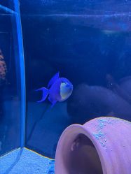 -Zoolung Zoolung动物主题公园(海信广场店)