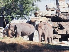 -北京野生动物园