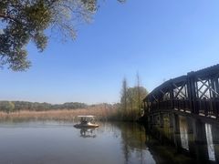 -同里国家湿地公园