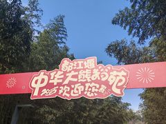 -都江堰中华大熊猫苑