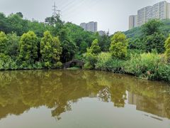 -张坝桂圆林公园