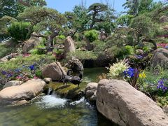 -罗红摄影艺术馆