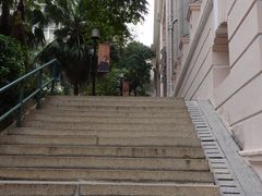 -香港大学