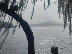 -天乐农家鱼头王(天目湖店)