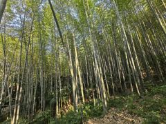 -南山风景名胜区