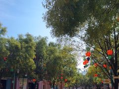 -沈阳方特欢乐世界