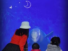 -泉城欧乐堡海洋极地世界