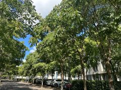 -上海海事大学(临港校区)