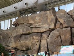 -杭州开元森泊度假乐园