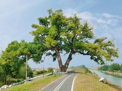 -乌龙涧铁道铁轨景