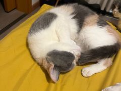 -鸡毛店·川菜(双楠店)