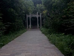 android_upload_pic-赭山公园