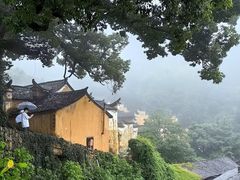 -杨家堂村
