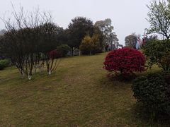 -铁山坪森林公园