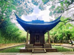 -兰亭风景区