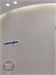-型色沙龙 Color Salon