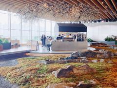 -Seesaw Coffee(朝阳大悦城店)