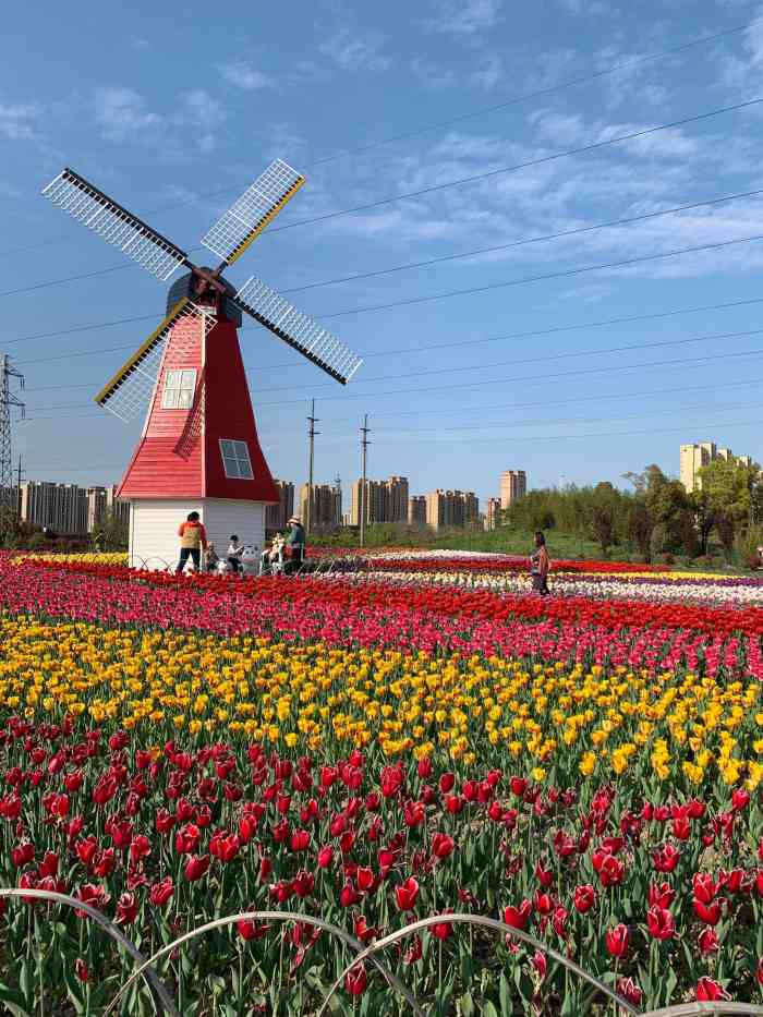 菊园百果园-"找对时间去,百果园还是一次不错的体验,春.