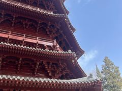-北京世界公园