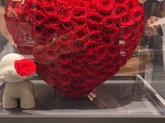 -ROSEONLY诺誓(磐基中心店)