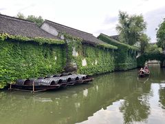 -鲁镇