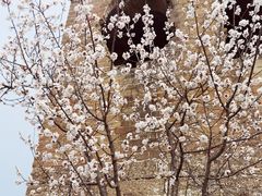 -蟠龙山长城景区