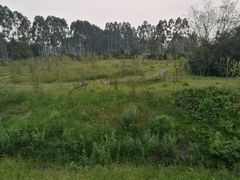 -三圣花乡旅游区