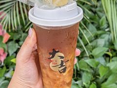 -1828王老吉·草本新茶(珠江新城地铁站店)