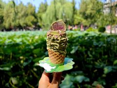 -莲池书院博物馆