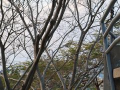 -鸿山公园