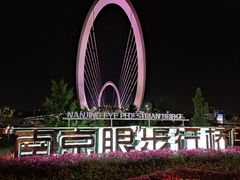 -南京眼步行桥