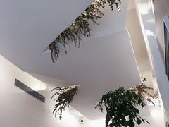 -尤加利咖啡馆