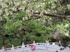 -沂蒙山旅游区龟蒙景区