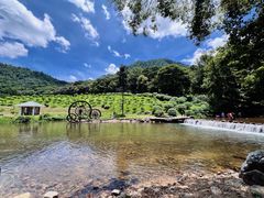-广州市石门国家森林公园