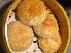 -京炉烤鸭·新京菜·庭院餐厅(大东方·欢乐谷店)