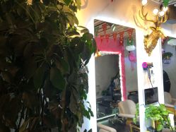 -东宫造型Eastern palace