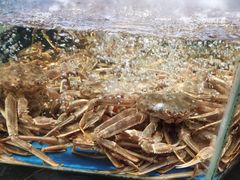 -徐记海鲜(大明宫|北二环店)