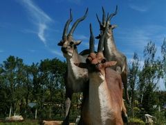 -武清南湖绿博园