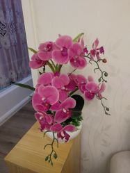 点击看大图 -西施无菌半永久纹绣眉眼影唇轻增发纹发际线