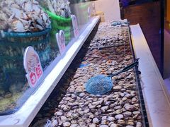 -聚盛源蒸汽海鲜火锅烤肉自助(巨川金海岸购物广场店)