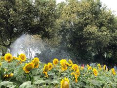 -艾溪湖湿地公园