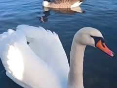 -海德公园