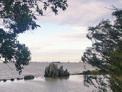 -上海吴淞炮台湾国家湿地公园