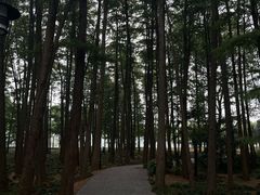 -月湖风景区
