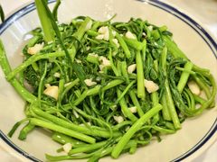 清炒空心菜-新新湘菜馆(新中街二条店)