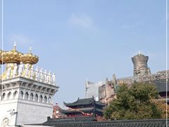-上海东林寺(金山区)
