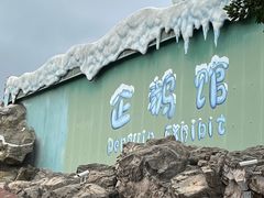 -珠海长隆海洋王国